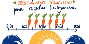 Diagrama Descripción generada automáticamente