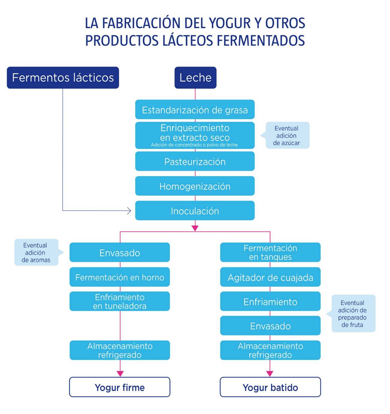 ¿Cómo se hace el yogur?