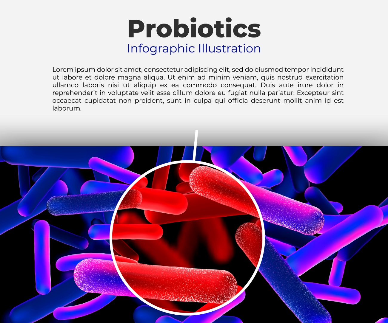 Probioticos