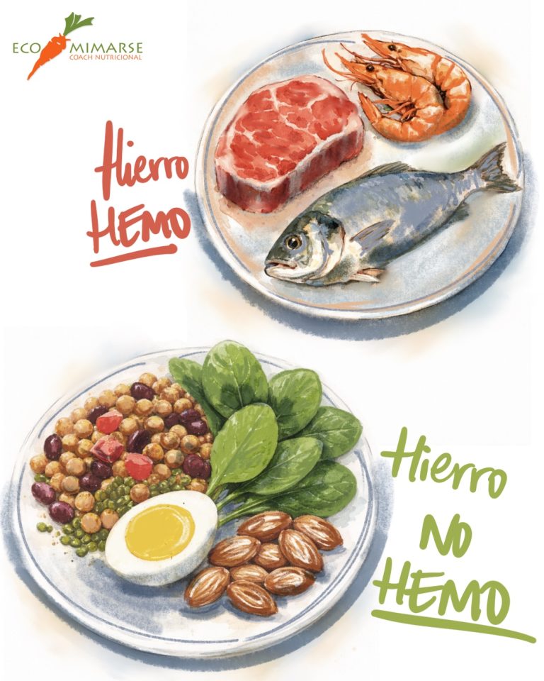 Hierror Hemo, Hierro No Hemo